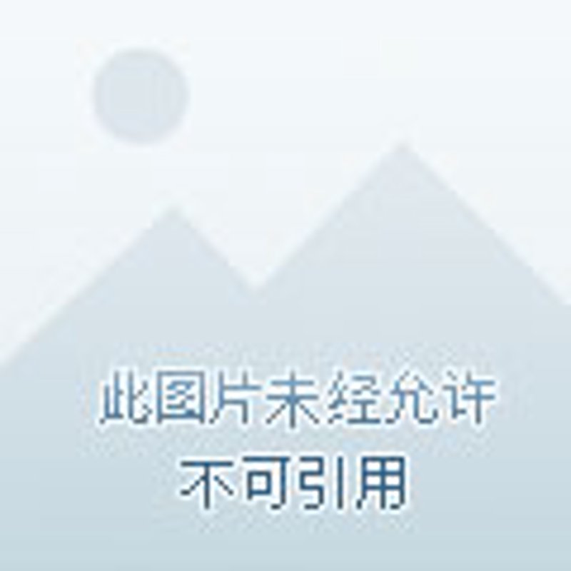 展览与空间:构建独特的展示体验